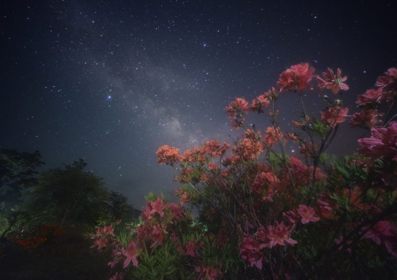 【6月】ツツジ咲く高原と銀河